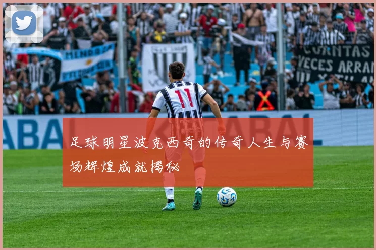 足球明星波克西奇的传奇人生与赛场辉煌成就揭秘