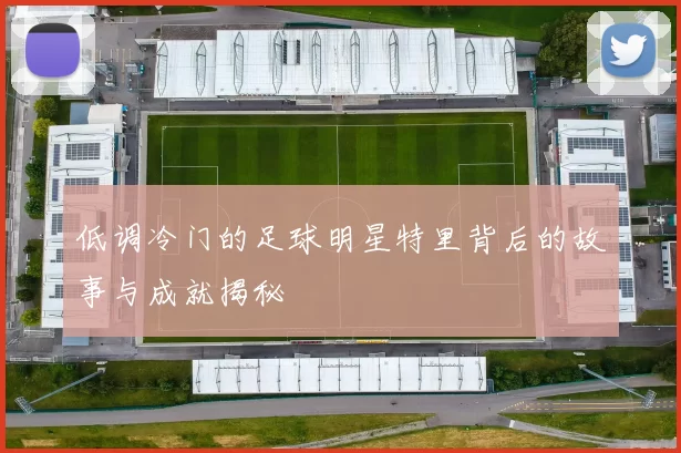低调冷门的足球明星特里背后的故事与成就揭秘