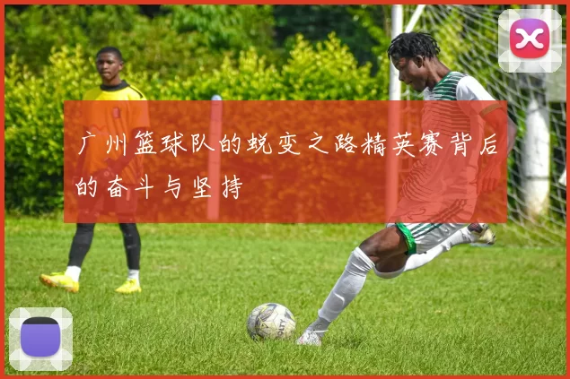 广州篮球队的蜕变之路精英赛背后的奋斗与坚持