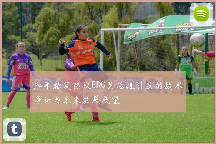 和平精英热议EDG灵活性引发的战术争论与未来发展展望