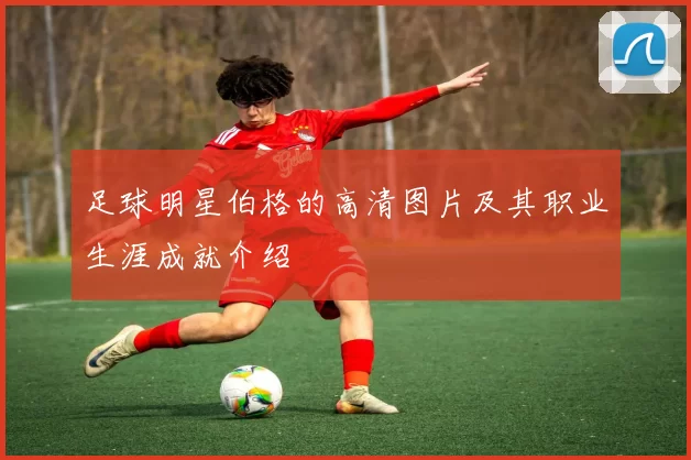 足球明星伯格的高清图片及其职业生涯成就介绍