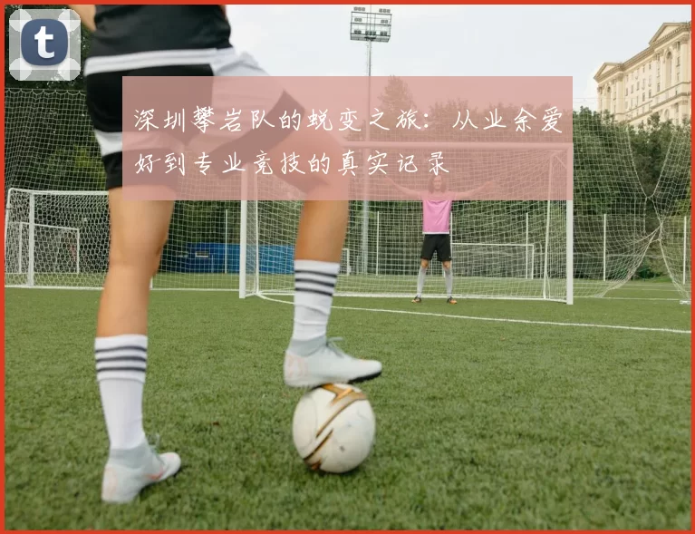 深圳攀岩队的蜕变之旅：从业余爱好到专业竞技的真实记录
