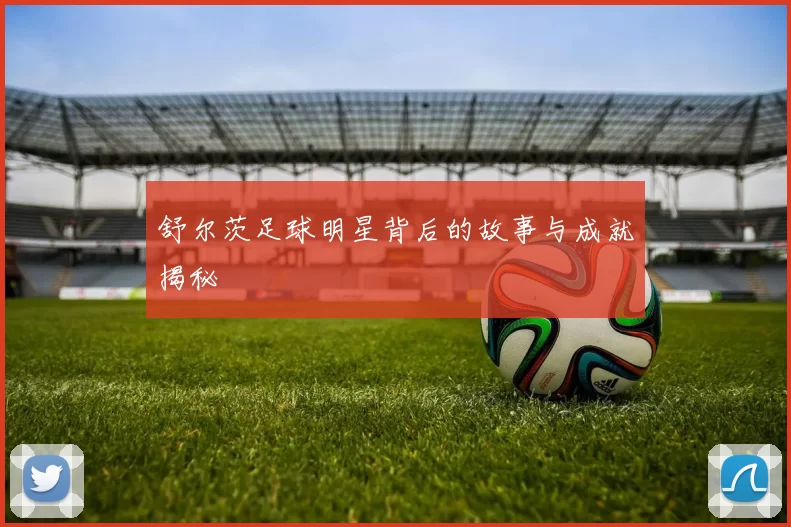 舒尔茨足球明星背后的故事与成就揭秘