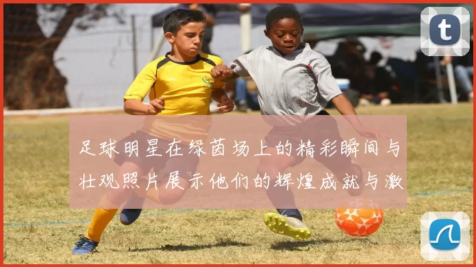 足球明星在绿茵场上的精彩瞬间与壮观照片展示他们的辉煌成就与激情时刻