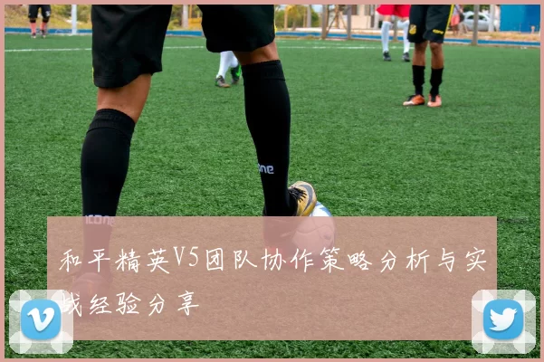 和平精英V5团队协作策略分析与实战经验分享