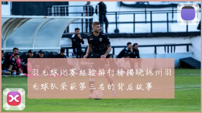 羽毛球比赛经验排行榜揭晓杭州羽毛球队荣获第三名的背后故事