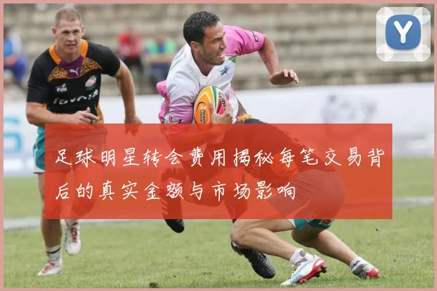 足球明星转会费用揭秘每笔交易背后的真实金额与市场影响