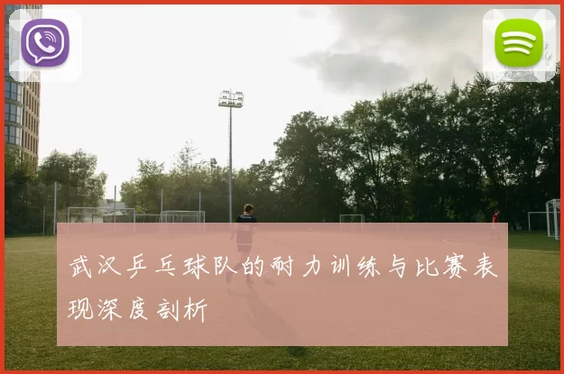 武汉乒乓球队的耐力训练与比赛表现深度剖析