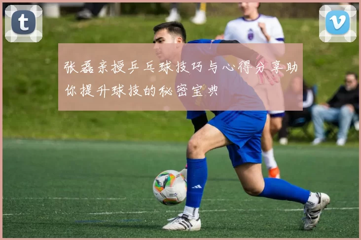 张磊亲授乒乓球技巧与心得分享助你提升球技的秘密宝典