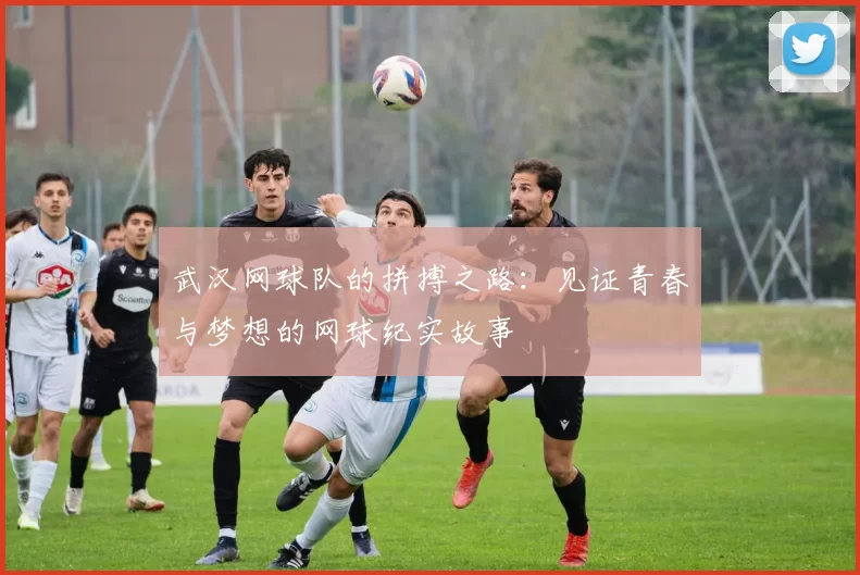 武汉网球队的拼搏之路：见证青春与梦想的网球纪实故事