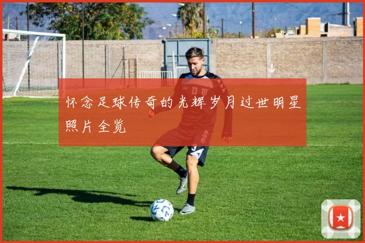 怀念足球传奇的光辉岁月过世明星照片全览