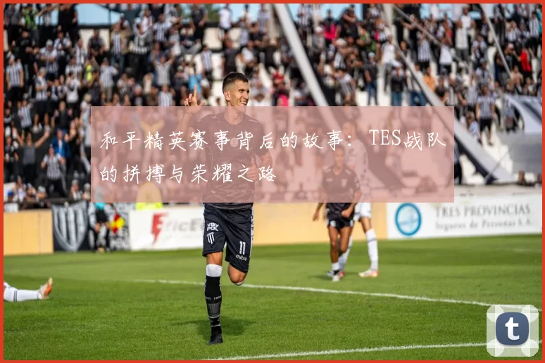 和平精英赛事背后的故事：TES战队的拼搏与荣耀之路