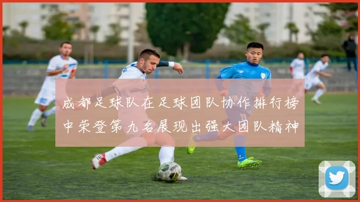 成都足球队在足球团队协作排行榜中荣登第九名展现出强大团队精神与默契配合