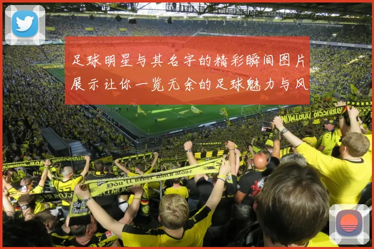 足球明星与其名字的精彩瞬间图片展示让你一览无余的足球魅力与风采