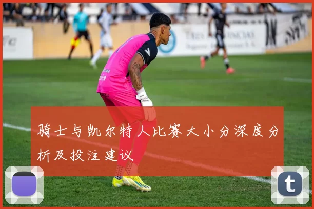 骑士与凯尔特人比赛大小分深度分析及投注建议