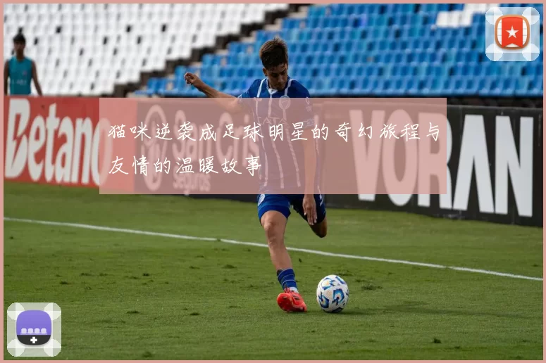 猫咪逆袭成足球明星的奇幻旅程与友情的温暖故事