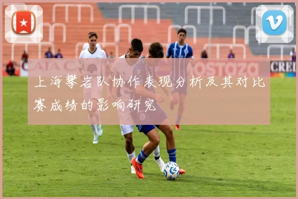 上海攀岩队协作表现分析及其对比赛成绩的影响研究