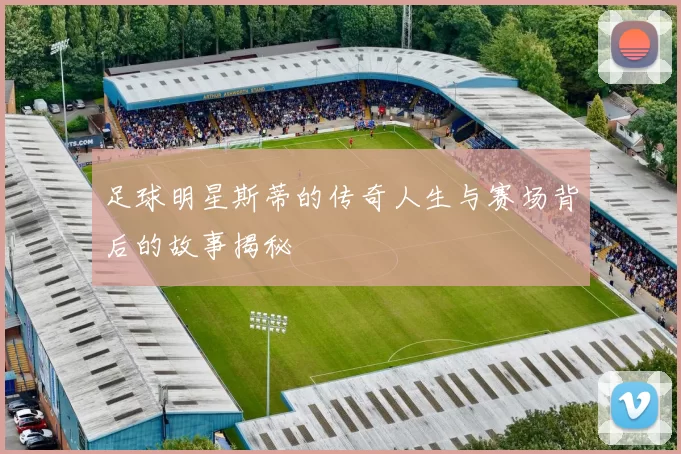 足球明星斯蒂的传奇人生与赛场背后的故事揭秘