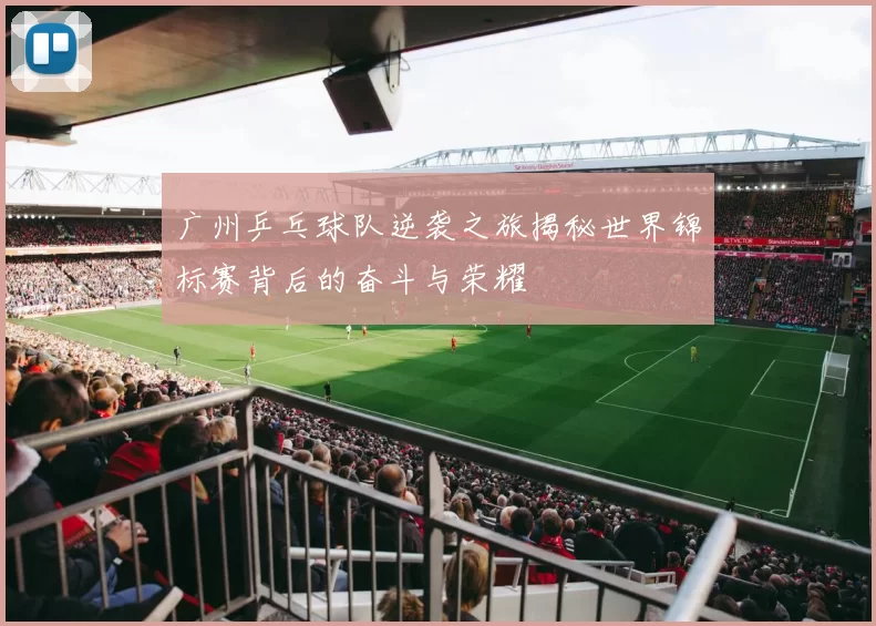 广州乒乓球队逆袭之旅揭秘世界锦标赛背后的奋斗与荣耀