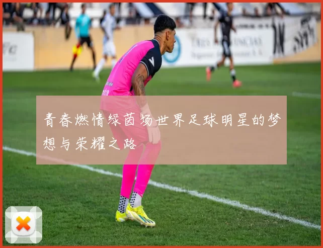 青春燃情绿茵场世界足球明星的梦想与荣耀之路