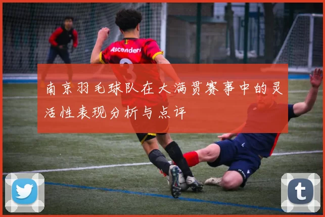 南京羽毛球队在大满贯赛事中的灵活性表现分析与点评