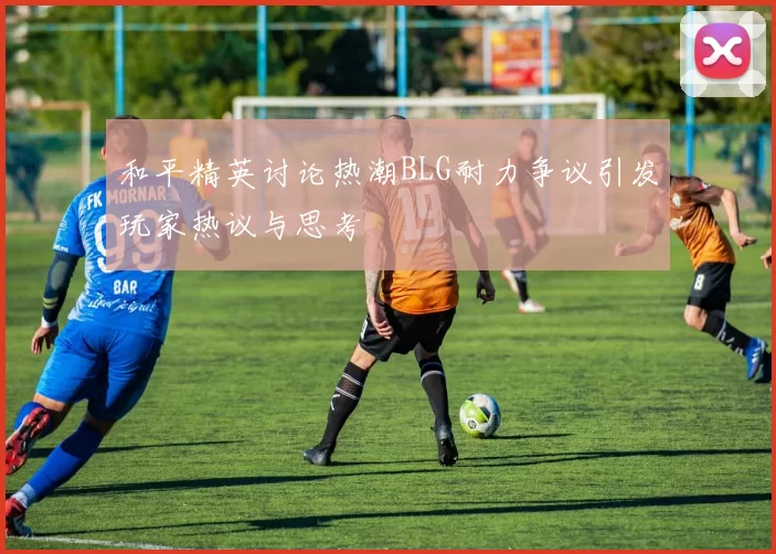 和平精英讨论热潮BLG耐力争议引发玩家热议与思考