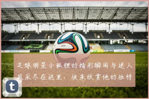足球明星小狐狸的精彩瞬间与迷人风采尽在这里，快来欣赏他的独特魅力与精彩表现